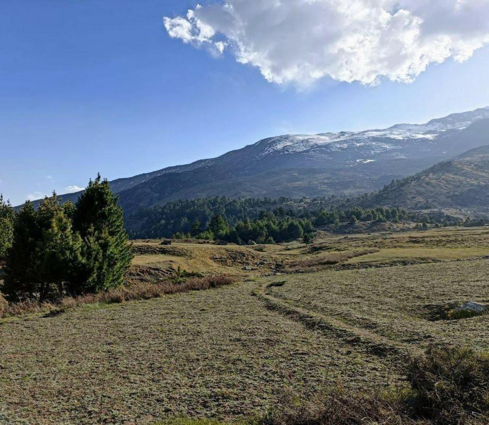 Fayul Retreat - India Highest Glamp And Ecoluxury Stay كالبا المظهر الخارجي الصورة